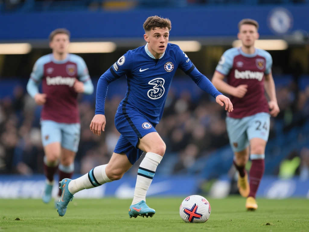 岁的加维堪 岁的加维堪