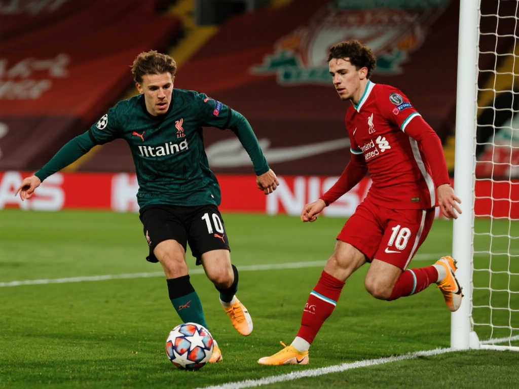 手们手感火 手们手感火